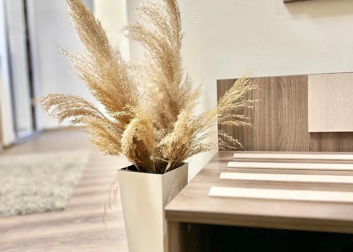 Bnp 1 Appartement St Constantin et Helena